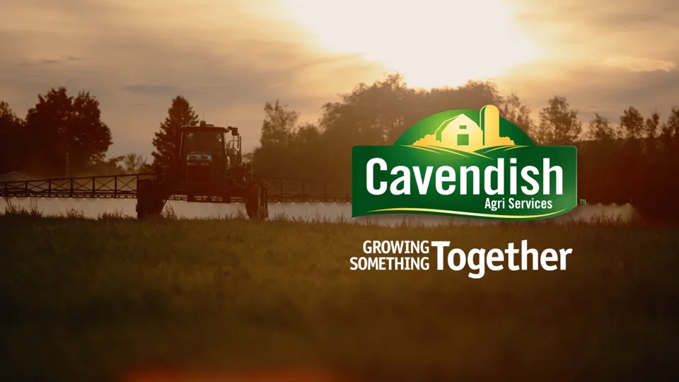 Cavendish Farms Talent Attraction Campaign video thumbnail